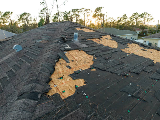 Best Asphalt Shingles Roofing  in Lenexa, KS